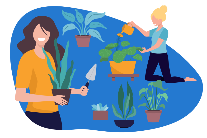 plantas sentido responsabilidade